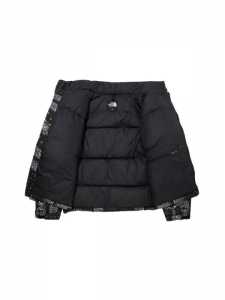 Пуховик зимний мужской The North Face 1996 Collection