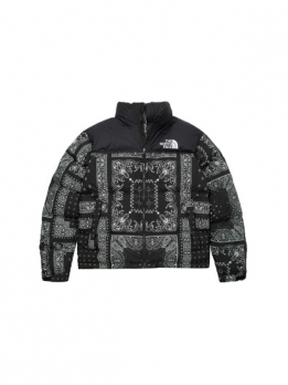 Пуховик зимний мужской The North Face 1996 Collection