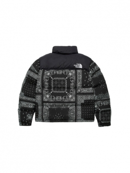 Пуховик зимний мужской The North Face 1996 Collection