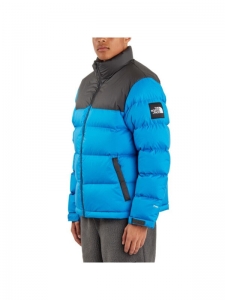 Пуховик мужской повседневный The North Face 1992 Collection 191929472228