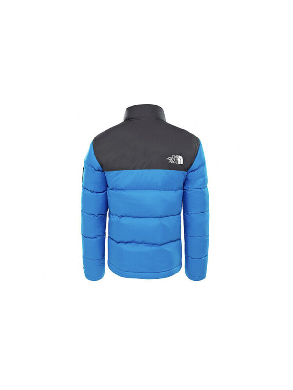 Пуховик мужской повседневный The North Face 1992 Collection 191929472228