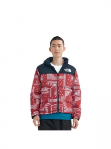 Куртка утепленная мужская для улицы The North Face M1996 Novelty Nuptse Jacket