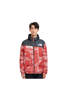 Куртка утепленная мужская для улицы The North Face M1996 Novelty Nuptse Jacket