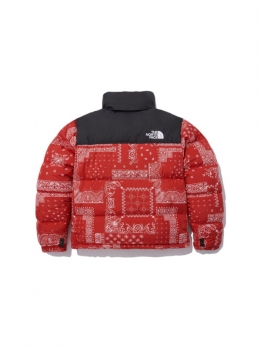 Куртка утепленная мужская для улицы The North Face M1996 Novelty Nuptse Jacket