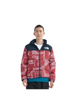Куртка утепленная мужская для улицы The North Face M1996 Novelty Nuptse Jacket