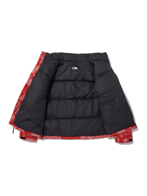 Куртка утепленная мужская для улицы The North Face M1996 Novelty Nuptse Jacket