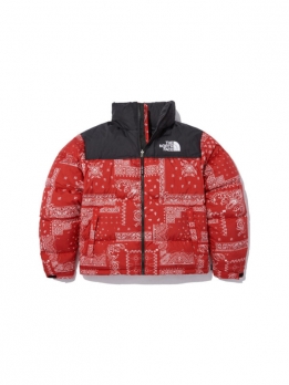Куртка утепленная мужская для улицы The North Face M1996 Novelty Nuptse Jacket