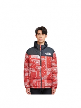 Куртка утепленная мужская для улицы The North Face M1996 Novelty Nuptse Jacket