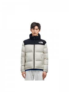 Пуховик мужской для повседневной носки The North Face Novelty