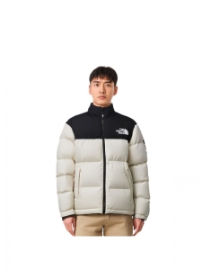 Пуховик мужской для повседневной носки The North Face Novelty