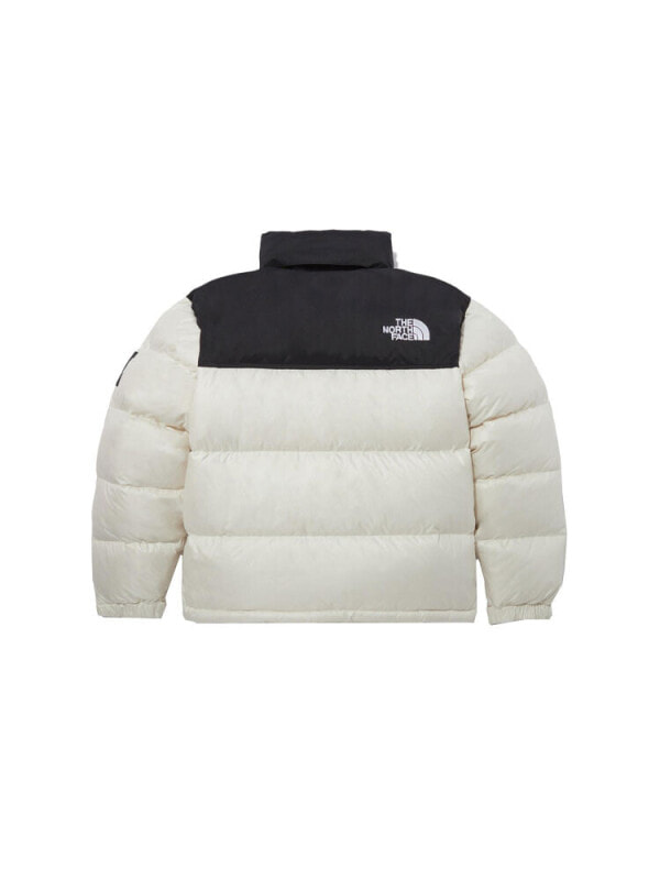 Пуховик мужской для повседневной носки The North Face Novelty