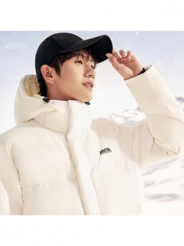 Куртка мужская зимняя для города Anta 6930280709741