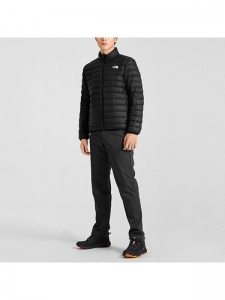 Пуховик зимний мужской для города The North Face 195440110041