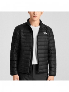 Пуховик зимний мужской для города The North Face 195440110041