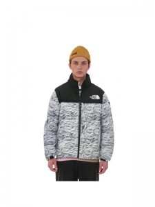 THE NORTH FACE Novelty Nuptse Down Jacket P White Unisex Korea Version