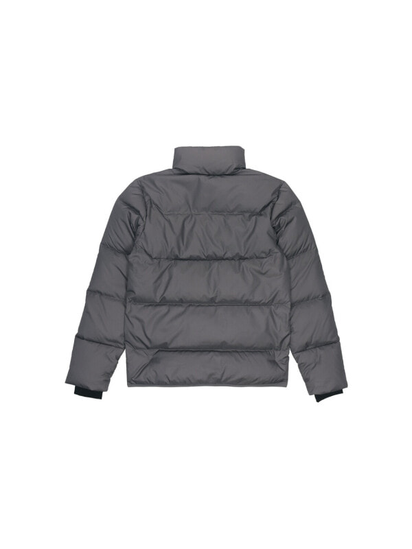 Куртка зимняя мужская для холодной погоды Adidas 4064054051957