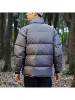 Куртка зимняя мужская для холодной погоды Adidas 4064054051957