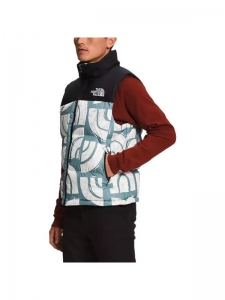 Куртка пуховая мужская для холодной погоды the north face 1996 collection