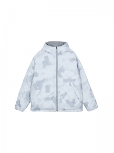 Куртка утепленная мужская для повседневного ношения Adidas 4067886273726