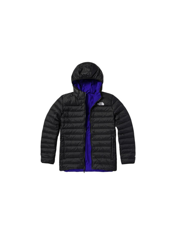 Куртка зимняя мужская для улицы the north face 196246217200