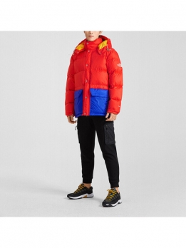 Куртка зимняя мужская для города the north face 192826932235