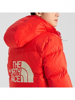 Куртка зимняя мужская для города the north face 192826932235