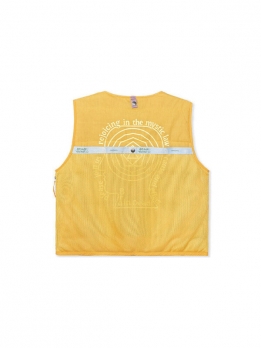 Жилет мужской повседневный the north face 68 sierra vest