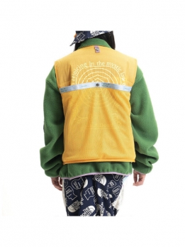 Жилет мужской повседневный the north face 68 sierra vest