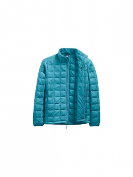 Пуховик мужской повседневный The North Face Aqua Blue