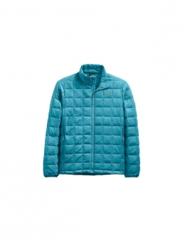 Пуховик мужской повседневный The North Face Aqua Blue