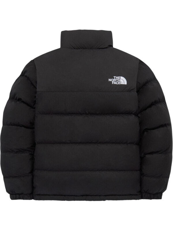Пуховик мужской зимний The North Face 1992 Collection 1000004748235