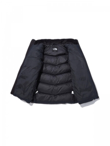 Куртка утепленная мужская для активного отдыха The North Face Aspen Down Jacket