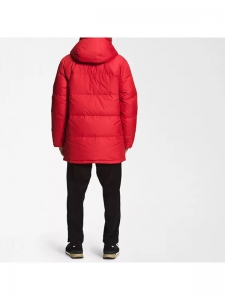 Пуховик мужской зимний для повседневной носки The North Face