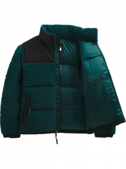 Куртка утепленная мужская для активного отдыха the north face 196246247559