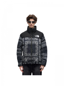 Пуховик мужской повседневный The North Face 1996 Collection