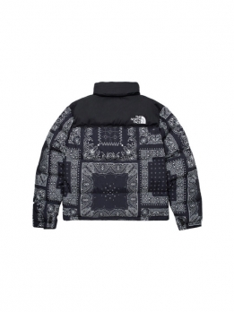 Пуховик мужской повседневный The North Face 1996 Collection