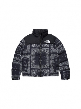 Пуховик мужской повседневный The North Face 1996 Collection