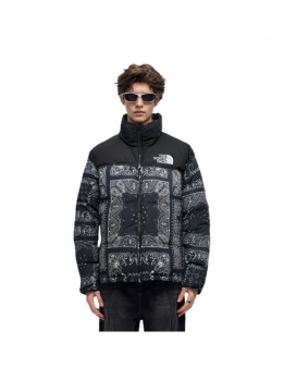 Пуховик мужской повседневный The North Face 1996 Collection