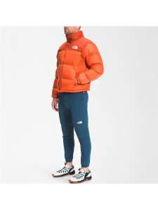 Куртка утепленная зимняя мужская the north face 1996 195437057748