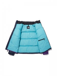 Пуховик зимний унисекс для города The North Face 1996 Collection Down Jacket