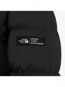 Куртка зимняя мужская для активного отдыха The North Face 1000004729104