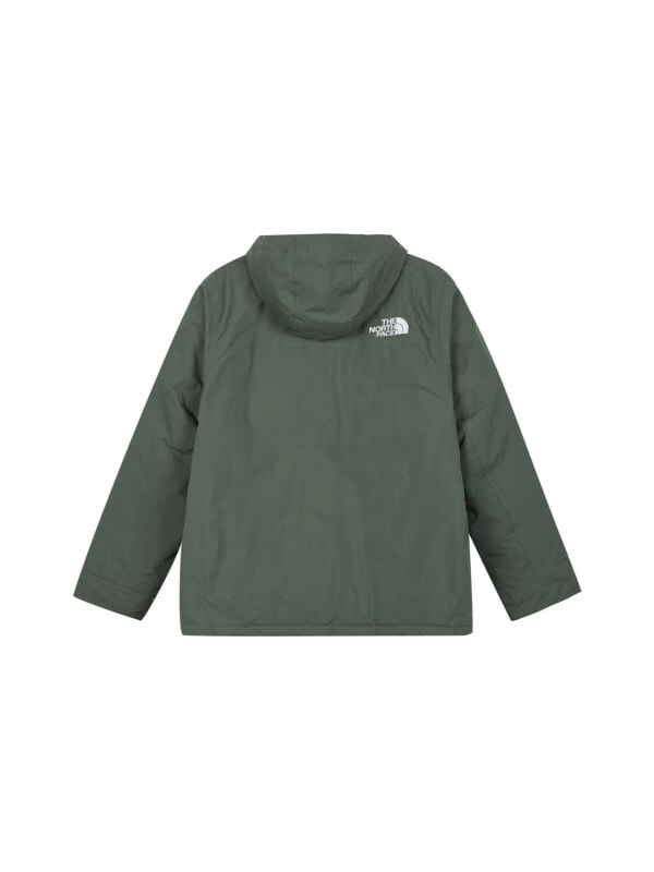 Пуховик мужской повседневный The North Face 196249120712