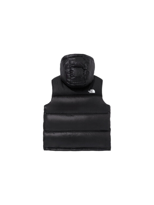 Пуховик унисекс для холодной погоды The North Face 1996 Collection