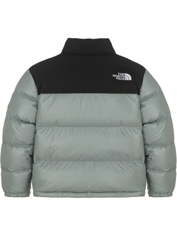 Пуховик универсальный мужской для повседневной носки The North Face Nuptse