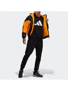 Куртка зимняя мужская Adidas 4064054232431