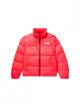 Куртка утепленная мужская повседневная The North Face 1996 Retro Nuptse Jacket