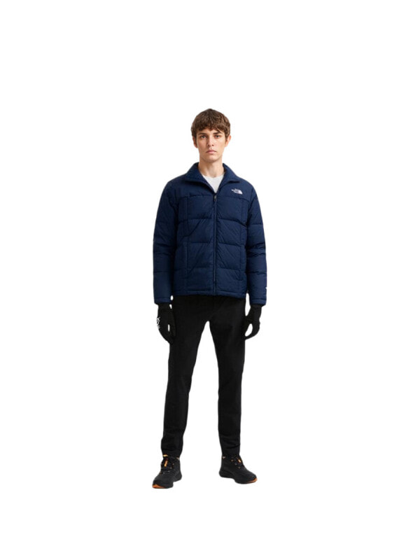 Куртка утепленная мужская для города the north face 196010622643