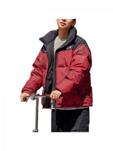 Пуховик унисекс для повседневной носки Li Ning Fondue Down Series 6901828094469