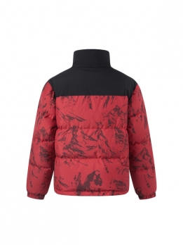 Пуховик унисекс для повседневной носки Li Ning Fondue Down Series 6901828094469