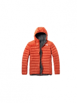 Пуховик мужской зимний The North Face 6907096160936